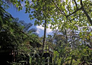 Alassari Plantation - 7