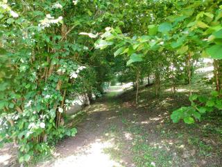 Domaine La Bastide - Cleyrac - 6