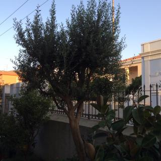 B&B Casavale - 9