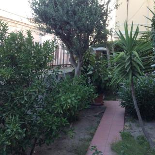 B&B Casavale - Carloforte - 7