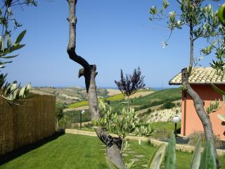 Agriturismo Il Borgo Degli Ulivi - 2