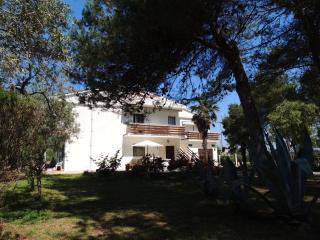Apartments Liveric - Vir - 4