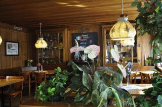 Gasthaus Skiklub - Andermatt - 3