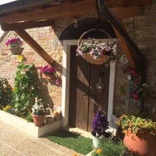 B&B La Casa in Campagna - Collecorvino - 3