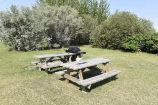 Tropical Inn - North Battleford - North Battleford - 5
