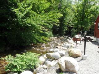 Seven Dwarfs Cabins - White Cabin - Lake George - 1