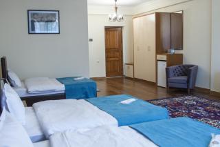 Hotel Plaza Viktoria - Gyumri - 6