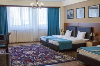Hotel Plaza Viktoria - Gyumri - 8