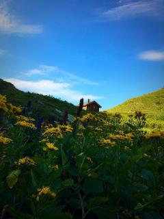 B&B El Piastrol - 3