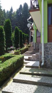 Vila Bogdana - Predeal - 8