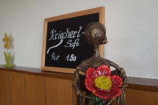 Gasthaus Donaublick - 5