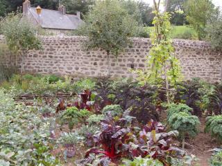 Chambres d'Hotes la Belle Taille - Lassay - 0