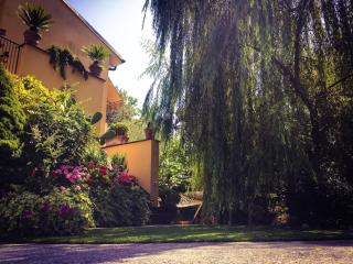 Le Pinette - Ameglia - 9