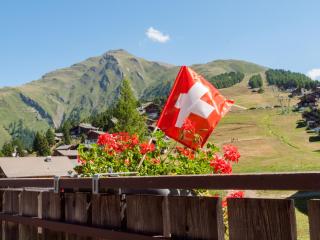 Gruppenhaus im Walliser Alpstyle - Rosswald - 4