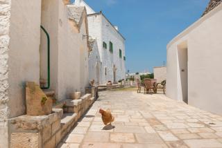 Agriturismo Masseria Aprile - Locorotondo - 7