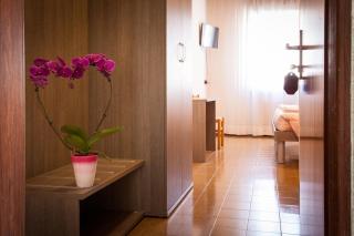 Hotel STELLA D'ORO - 8