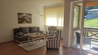 Pinewood Valley Oasis - Vyšné Ružbachy - 8