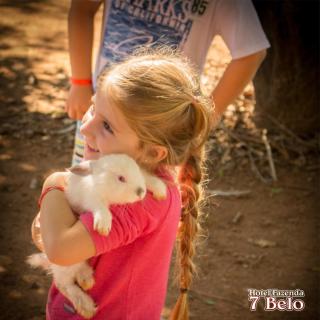 Hotel Fazenda 7 Belo - Socorro - 7