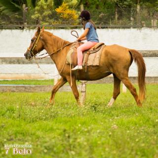 Hotel Fazenda 7 Belo - Socorro - 8