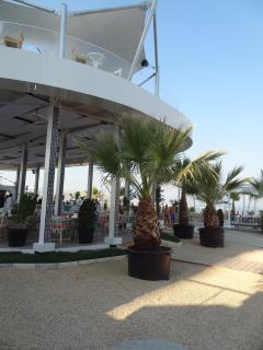 Felicia Residence - 3