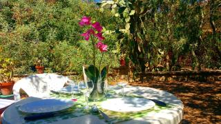 Casa Orsoni - Calvi - 1