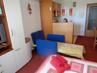 Apartment Maja Moravske Toplice - Moravske Toplice - 1