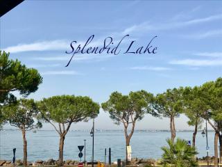 Splendid Lake - Desenzano del Garda - 0
