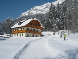 Ferienwohnung Ketterer - Ramsau am Dachstein - 8