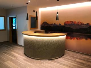 Hotel Regent's - Andalo - 1