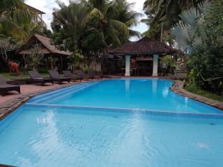 Panorama Hotel - Ubud - 2