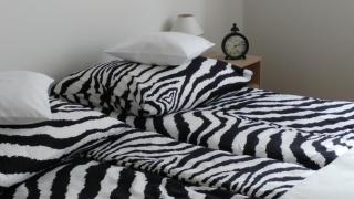 Polhouse Apartamenty - Rzeszów - 0