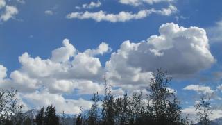 Streamlet homestay - Leh - 5
