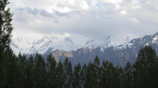 Streamlet homestay - Leh - 8
