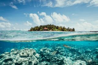 ROBINSON MALDIVES - Adults only - Gaafu Alifu Atoll - 0