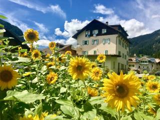 Central Apartment Canazei - 0