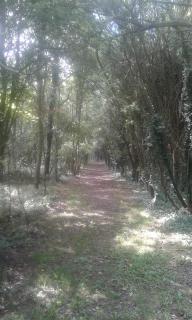 Les Portes des Froises - 5