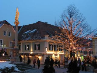 Gasthof Restaurant Zum Brauhaus - Hartberg - 7