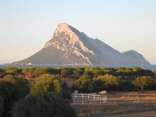 B&B La Taerra - 9