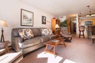 Ski Run Condominiums 203 - 9