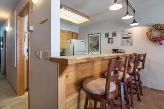 Ski Run Condominiums 203 - 5