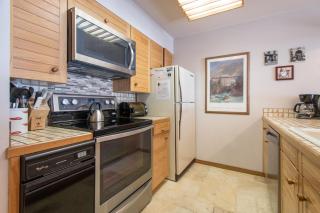 Ski Run Condominiums 203 - 2