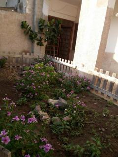 Orchidea House - SantʼAntìoco - 0