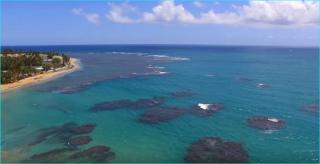 Beach front apartment in Luquillo - Luquillo - 7