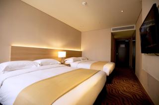 Summit Hotel Seoul Dongdaemun - Seul - 3