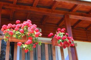 Guesthouses Prav Kamen - Dolno Dryanovo - 2