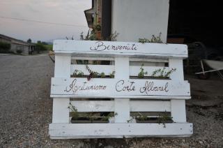 Agriturismo Corte Albarel - Castelnuovo del Garda - 1