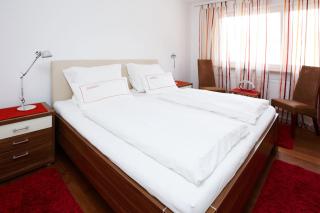 Alpenflair Ferienwohnungen Whg 101+213 - 4