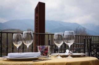 Hotel Conde De Badaran - Badarán - 2