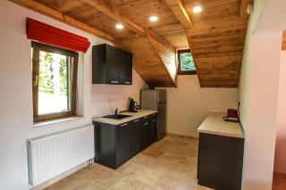 Vila Vista Sovata - 2