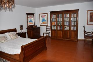 Caloura Camellia House - Caloura - 3